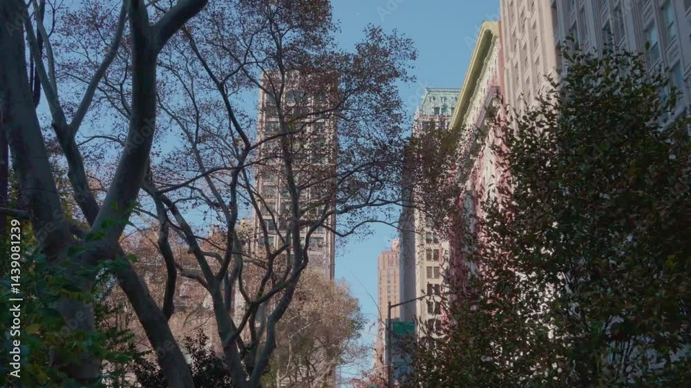 Leafless branches frame a Midtown Manhattan street view, where vintage and modern buildings rise against a clear winter sky. Leafless branches frame a Midtown Manhattan street view, where vintage and modern buildings rise against a clear winter sky.
