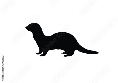 Ferret Silhouette. This image shows a black silhouette of a ferret, also referred to as a polecat or weasel, featuring its elongated body and bushy tail. Vector clipart illustration design.