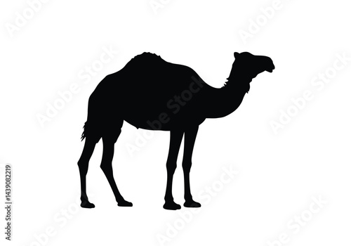 Camel Silhouette. This image shows a black silhouette of a camel, referred to as a desert mammal or nomadic transport, showcasing its hump and distinct features. Vector clipart illustration design.