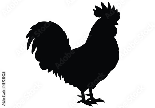 Polish Chicken Silhouette. A black silhouette image of a Polish chicken, referred to as Polish fowl or Polish rooster, with distinctive plumage and comb details. Vector clipart illustration design.