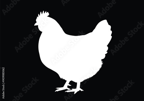 White Chicken Silhouette. This image shows a black silhouette of a chicken with visible comb and tail, also referred to as poultry or domestic bird. Vector clipart illustration design.