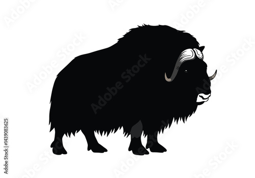 Musk Ox Silhouette. This image shows a black silhouette of a musk ox, also referred to as muskox or tundra bovine, with shaggy fur and large curved horns. Vector clipart illustration design.