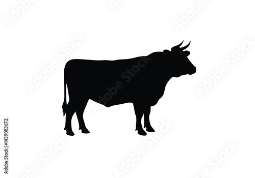 Steer Silhouette. This image shows a black silhouette of a steer, also referred to as cattle or bull, with distinct horns and muscular features. Vector clipart illustration design.