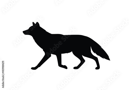 Coyote Silhouette. This image shows a black silhouette of a coyote, also known as a prairie wolf or brush wolf, standing on a white background. Vector clipart illustration design.