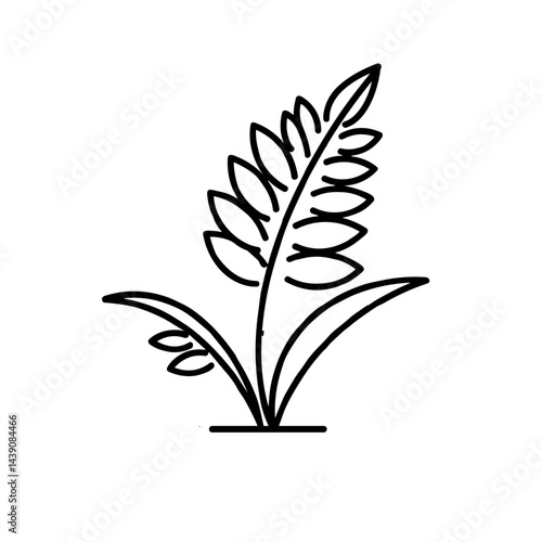 Black and White Outline of a Leafy Plant for Ivan Kupala Day  