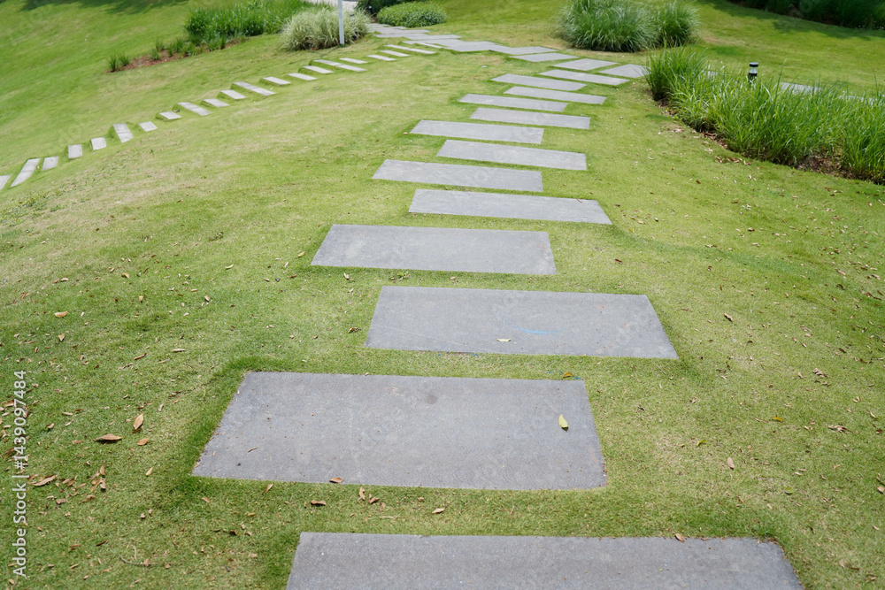 Detail of garden path with stone slabs with green lawn. Landscaping and gardening concept.