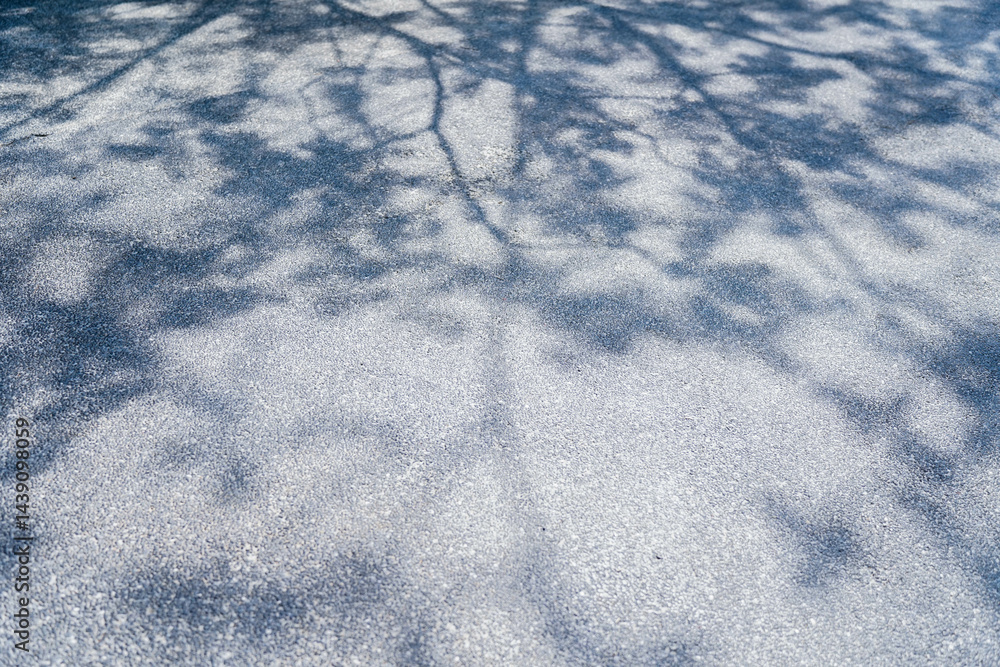 Shadow of a tree on a asphalt floor, Shadows sway from the sunlight on floor