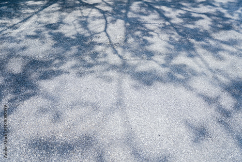 Obraz na płótnie Shadow of a tree on a asphalt floor, Shadows sway from the sunlight on floor w salonie
