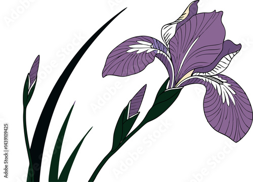 Stunning Iris Flower Vector Art for Designers