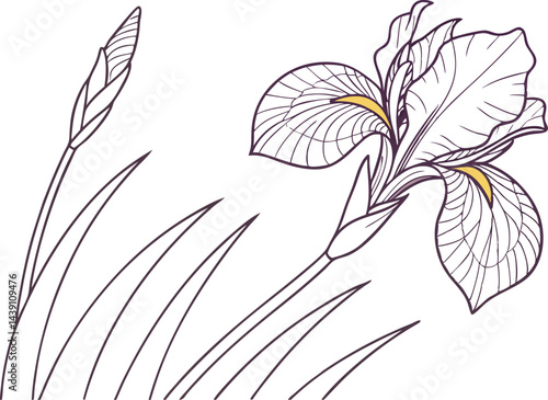 Stunning Iris Flower Vector Art for Designers