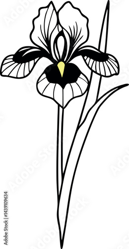 Stunning Iris Flower Vector Art for Designers