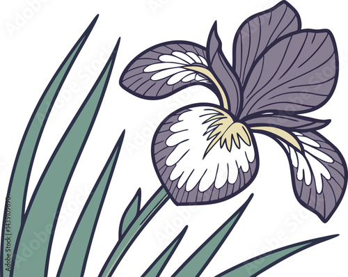 Stunning Iris Flower Vector Art for Designers