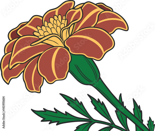 Beautiful Marigold Flower Vector Art for Designers
