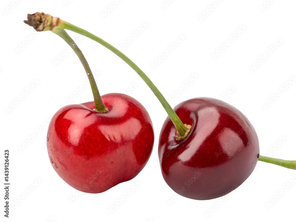 Fresh Cherries Isolate on transparent background cutout, PNG file, Cutout file