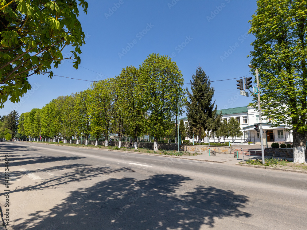 Obraz premium A street lined with trees on both sides of the road