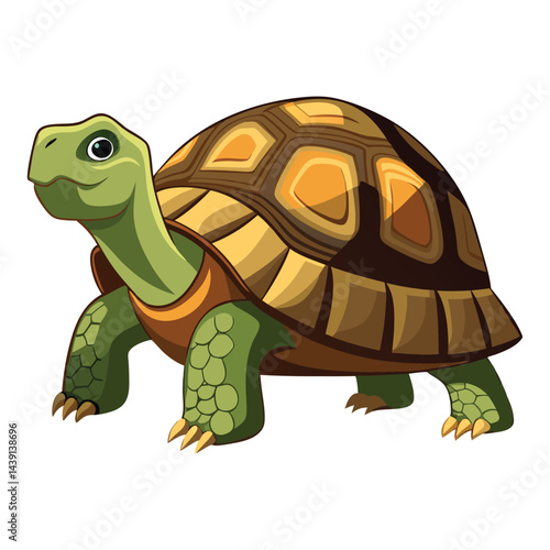 Tortoise Vector 