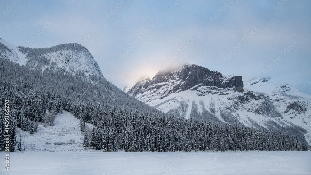 Obraz premium Winter landscape reveals mountains and a soft sunrise over snow-covered trees in a tranquil setting