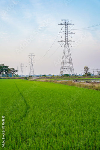 Obraz na płótnie Green rice field with tall electricity pylons under blue sky, rural landscape, peaceful atmosphere, and agricultural area in countryside w salonie