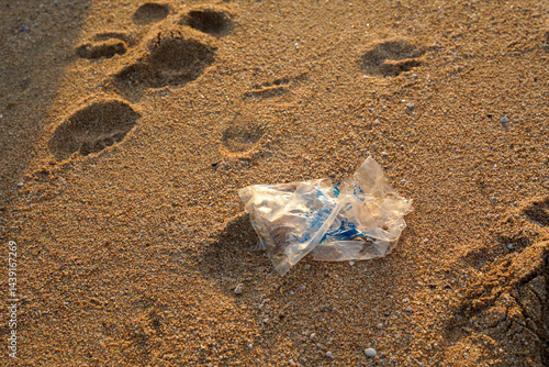 Plastic waste sandy beach environmental pollution human footprint nature summer outdoor ecology conservation