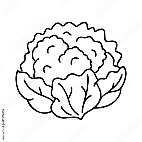 cauliflower icon, cauliflower line art - simple line art of cauliflower, perfect for cauliflower logos and icons