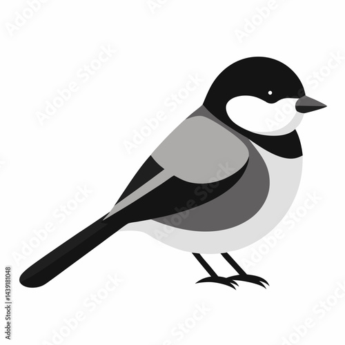 penguin vector illustration