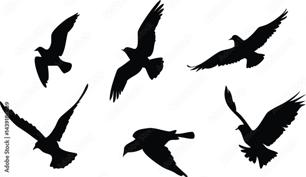 Obraz premium Birds Icon Silhouette Set for Creative Projects. Elegant Bird Silhouettes for Web and Print. Minimal Birds Icon Collection for Digital Use. Black Bird Silhouettes for Design and Branding