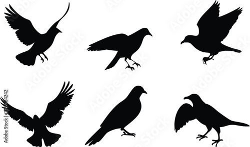 Birds Icon Silhouette Set for Creative Projects. Elegant Bird Silhouettes for Web and Print. Minimal Birds Icon Collection for Digital Use. Black Bird Silhouettes for Design and Branding