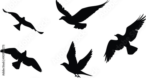 Birds Icon Silhouette Set for Creative Projects. Elegant Bird Silhouettes for Web and Print. Minimal Birds Icon Collection for Digital Use. Black Bird Silhouettes for Design and Branding