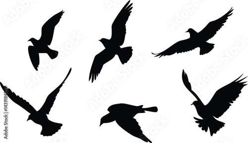 Birds Icon Silhouette Set for Creative Projects. Elegant Bird Silhouettes for Web and Print. Minimal Birds Icon Collection for Digital Use. Black Bird Silhouettes for Design and Branding