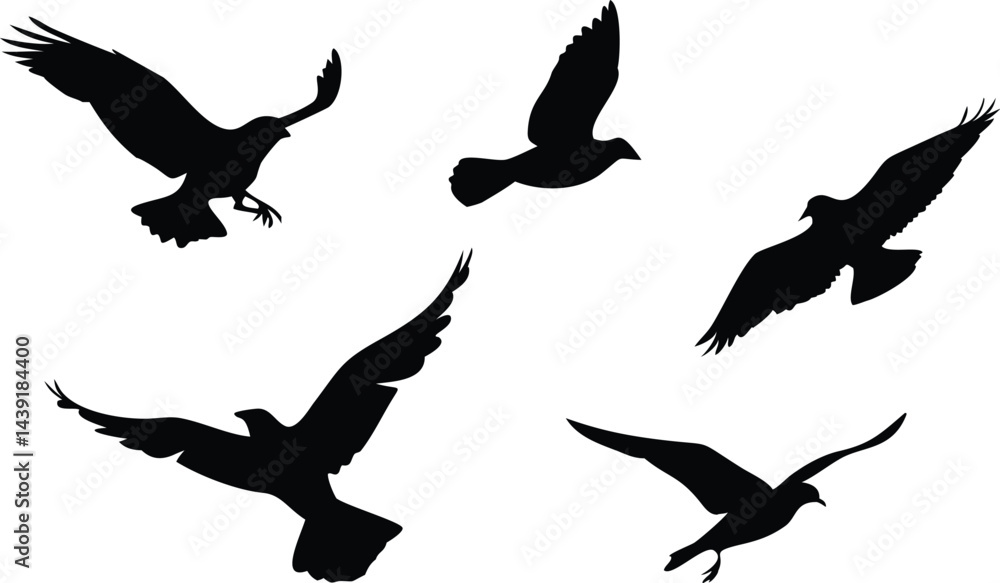 Fototapeta premium Birds Icon Silhouette Set for Creative Projects. Elegant Bird Silhouettes for Web and Print. Minimal Birds Icon Collection for Digital Use. Black Bird Silhouettes for Design and Branding