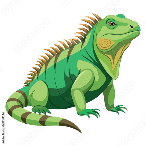 Iguana Vector 