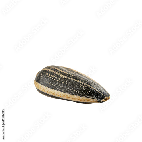 Wallpaper Mural High-Quality Sunflower Seed Image Torontodigital.ca