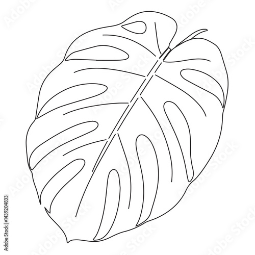 Elegant minimalist line art of a Monstera leaf in black on white, ideal for decor, posters, websites.