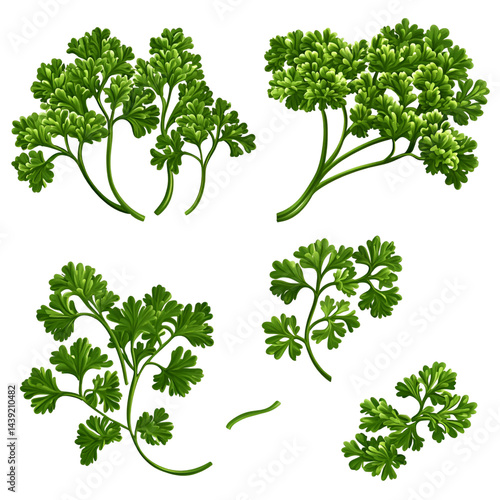 Green bush backgrounds for graphic design
