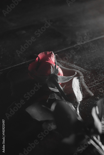 Dramatic Rose on a Dark Surface Highlighted by Soft Light