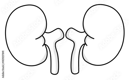 Kidney Health Vital Functions and Disease Prevention Guide