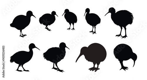 kiwi bird black silhouette icon vector.