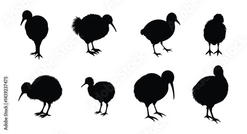 kiwi bird black silhouette icon vector.
