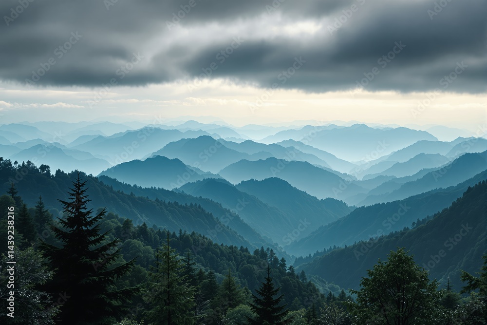 Fototapeta premium Misty mountain landscape with dense evergreen trees under a cloudy sky.