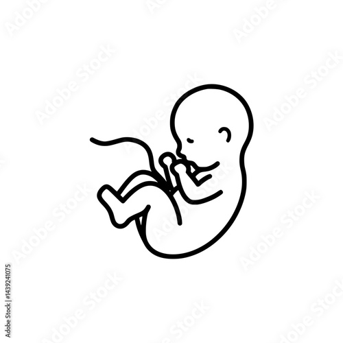 A delicate line drawing of a fetus in the fetal position, with its legs curled up and arms near its face, connected by an umbilical cord.
