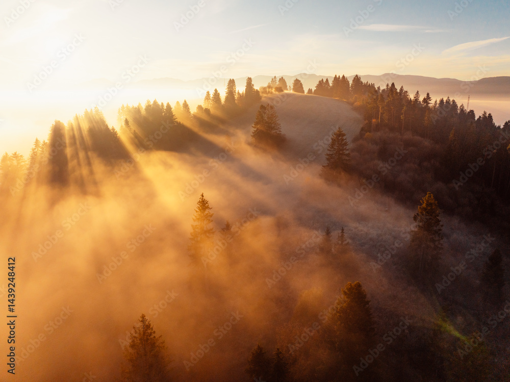 Sunset over Liptov region with and High Tatras mountains around. Misty view of tree tops with the rays of morning light. Sunset over Liptov region with and High Tatras mountains around. Misty view of tree tops with the rays of morning light.