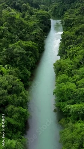 Serene River Flowing Through Lush Green Jungle