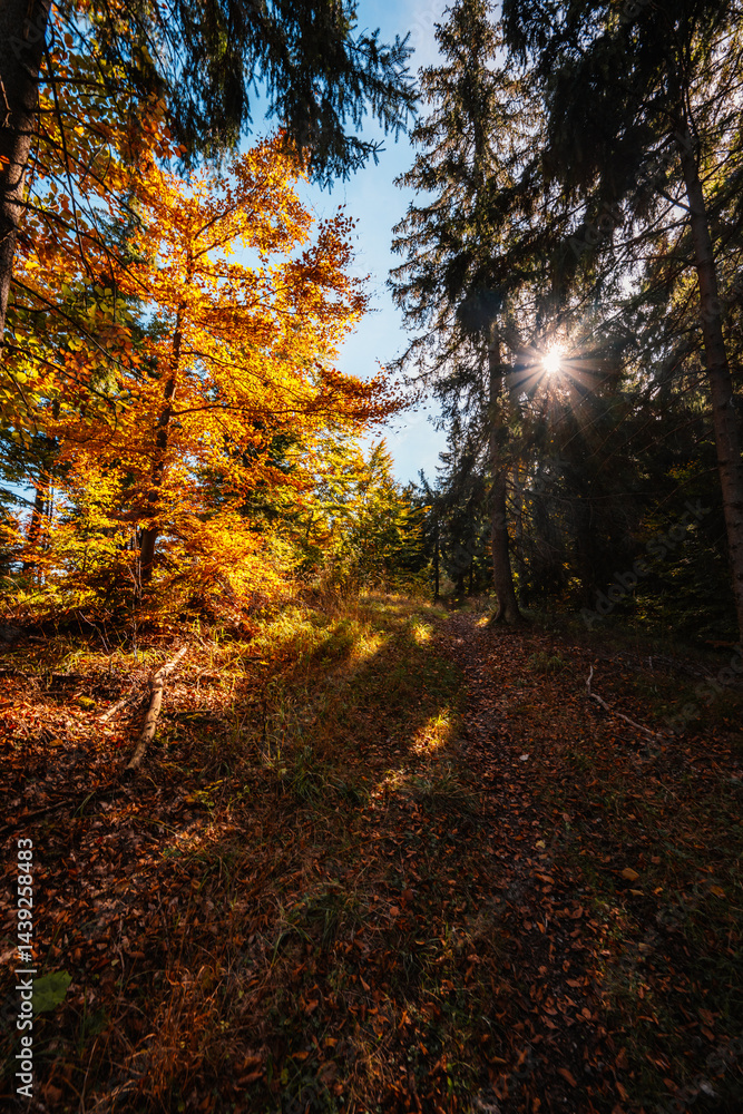 Obraz premium Liptov region Hiking in Tatras mountains to autumn cerenova rock view near Liptovsky Mikulas , slovakia.
