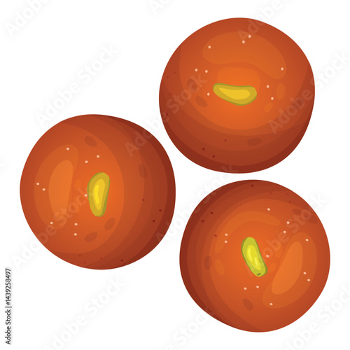 indian traditional sweet gulab jamun. Vector illustration