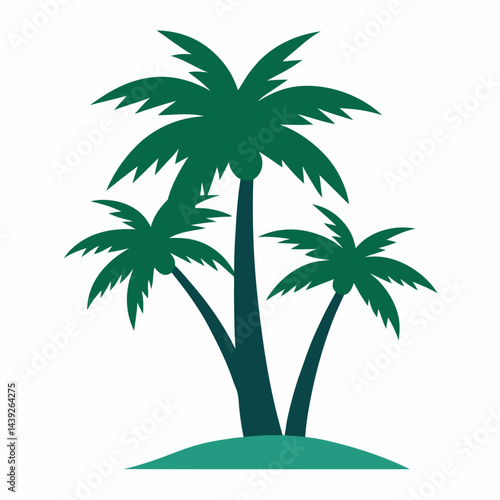 palm tree on a white background