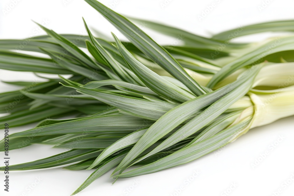 Fototapeta premium Fresh green leeks arranged neatly on a white background, ideal for culinary and healthy recipes