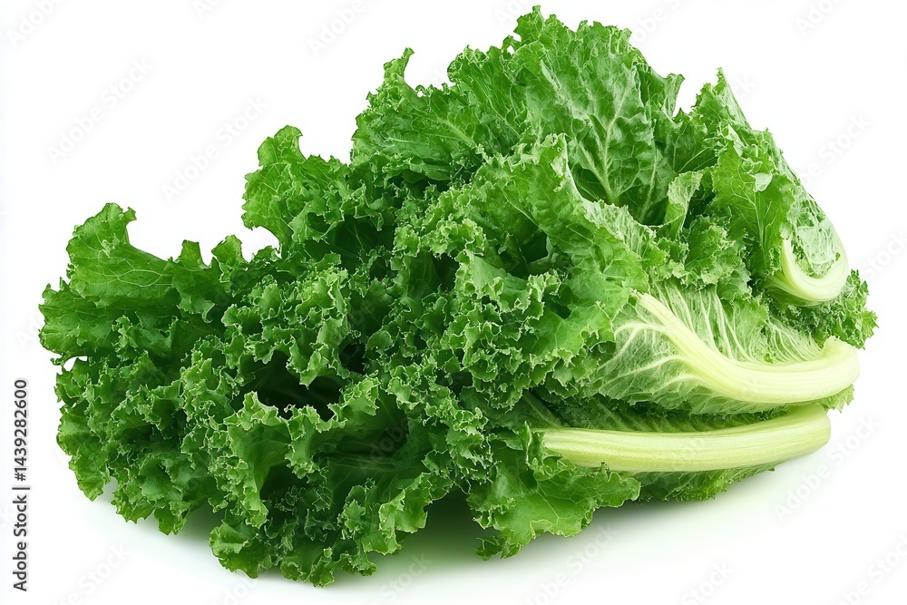 Fresh green lettuce with crisp leaves on a white background, ideal for healthy recipes Fresh green lettuce with crisp leaves on a white background, ideal for healthy recipes
