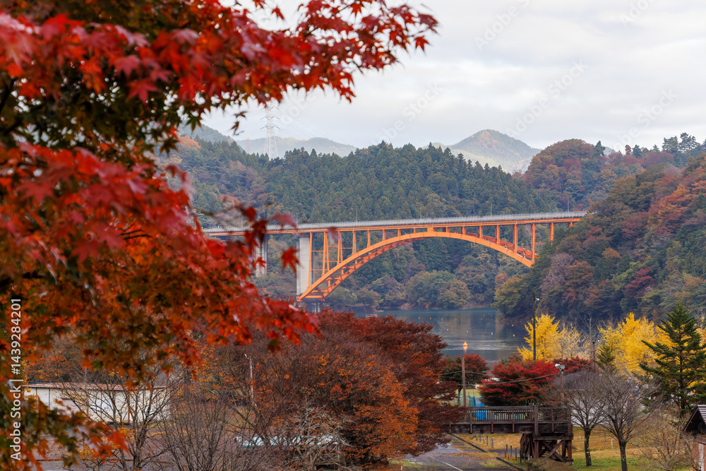 湖面の向こう側に大きな橋が見える。
紅葉に彩られた美しい宮ヶ瀬湖。
神奈川県清川村、早戸川林道-2025年