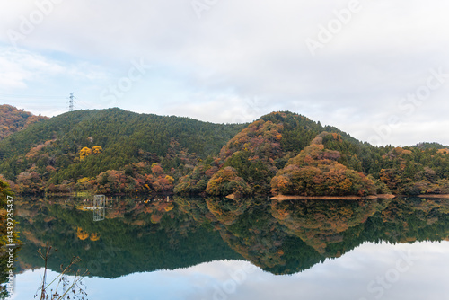 Obraz na płótnie 紅葉に彩られた美しい宮ヶ瀬湖。
湖面にはボートレースの練習用のブイなどが浮いている。
神奈川県清川村、早戸川林道-2025年
w salonie