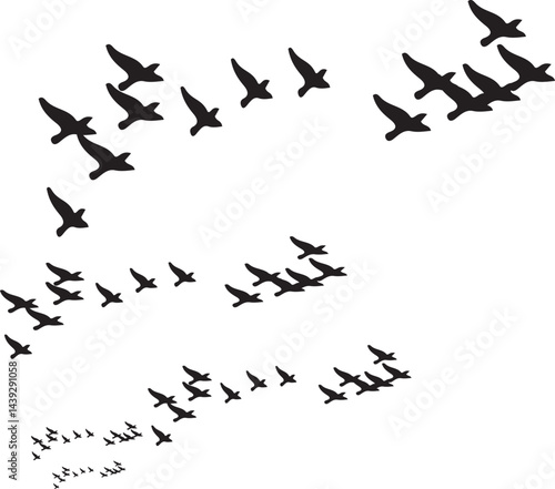 A black silhouette of a flock of birds takes flight against a white sky